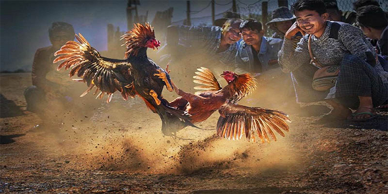 789win club chơi bắn cá đổi thưởng