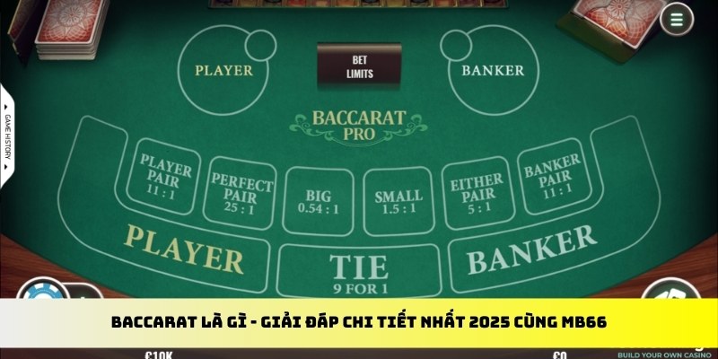789win club gà chọi cu cần