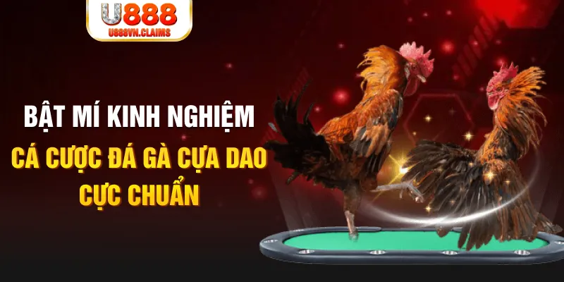 789win club tỷ lệ cá cược châu á là gì