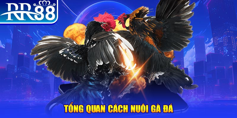 789win club VA Điện Tử