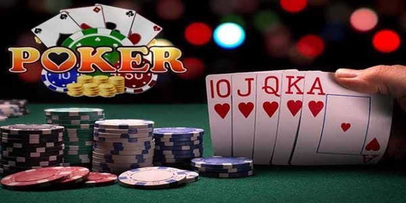 789win club đá gà thomo trực tiếp
