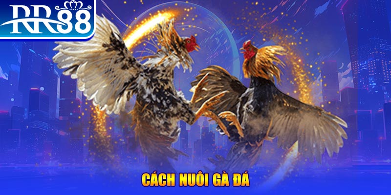 789win club xổ số an giang