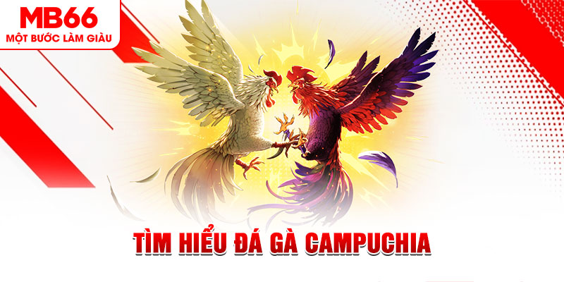 789win club đá gà trực tiếp
