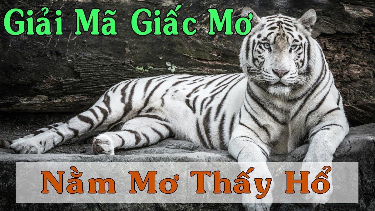 789win club xổ số 3 miền