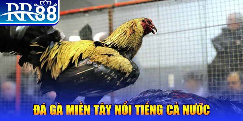 789win club JILI Game Bài 3d