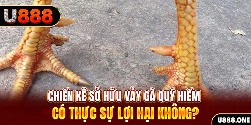 789win club nohu .mx nổ hủ là gì
