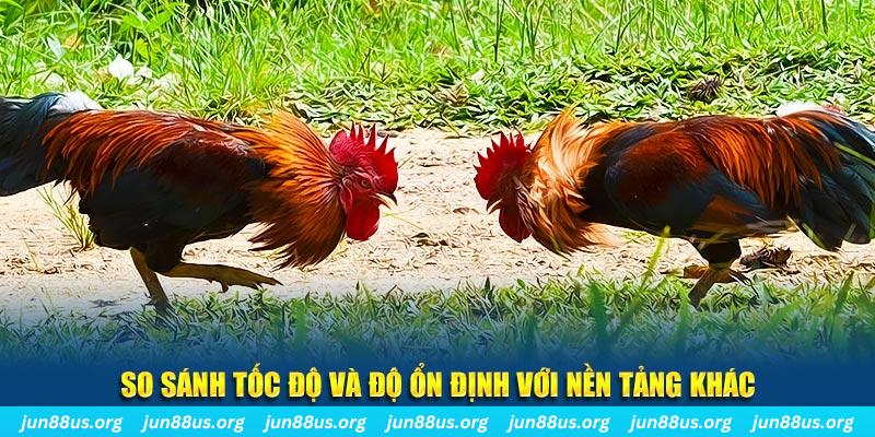 789win club đá gà hôm nay