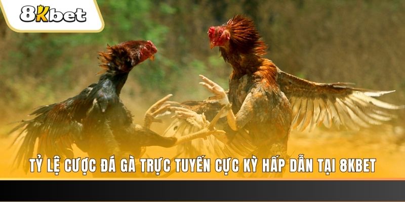 789win club đăng nhập phỏm trực tiếp