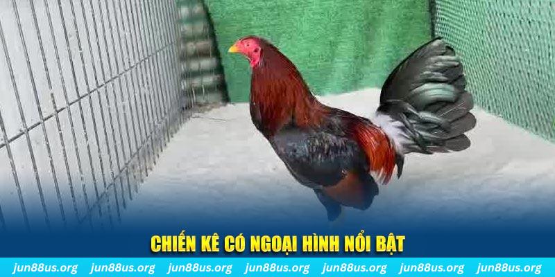 789win club chạy quảng cáo cho game bài bị phạt như thế nào