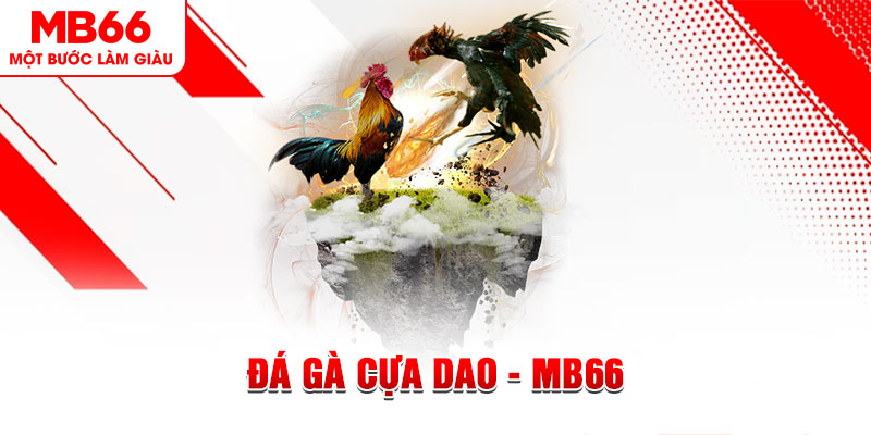 789win club đá gà sv388 gold